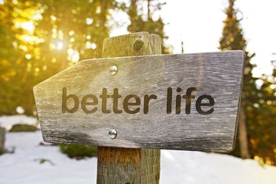 Close-up of sign on wooden post