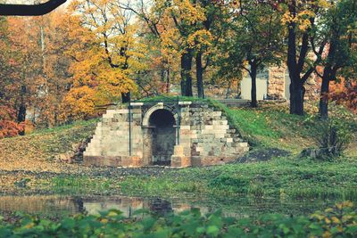 Trees in park during autumn