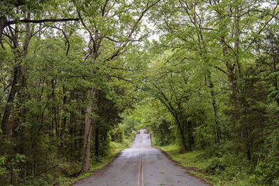 Road amidst trees in forest