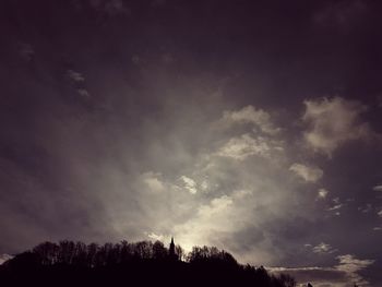 Low angle view of silhouette trees against sky