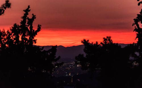 Silhouette trees against sky during sunset