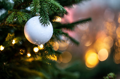 Close-up of christmas decoration hanging on tree