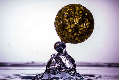 Close-up of drink against white background