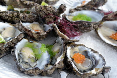 Close-up of oysters on table