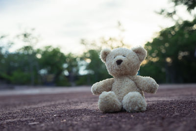 Teddy bear on field