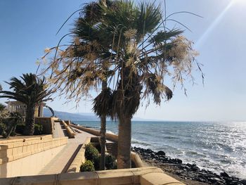 Palm trees by sea against clear sky