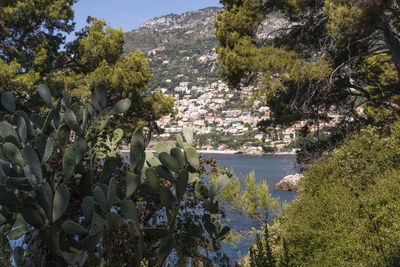 Scenic view of river amidst trees and mountains