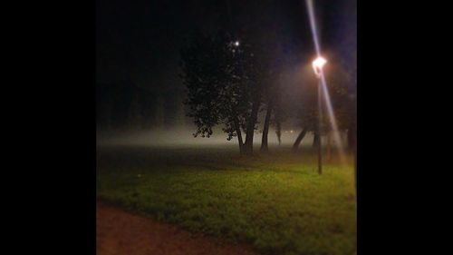 Trees on field against sky at night