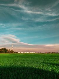 Scenic view of field against sky during sunset