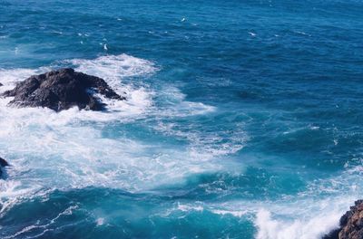 Scenic view of sea