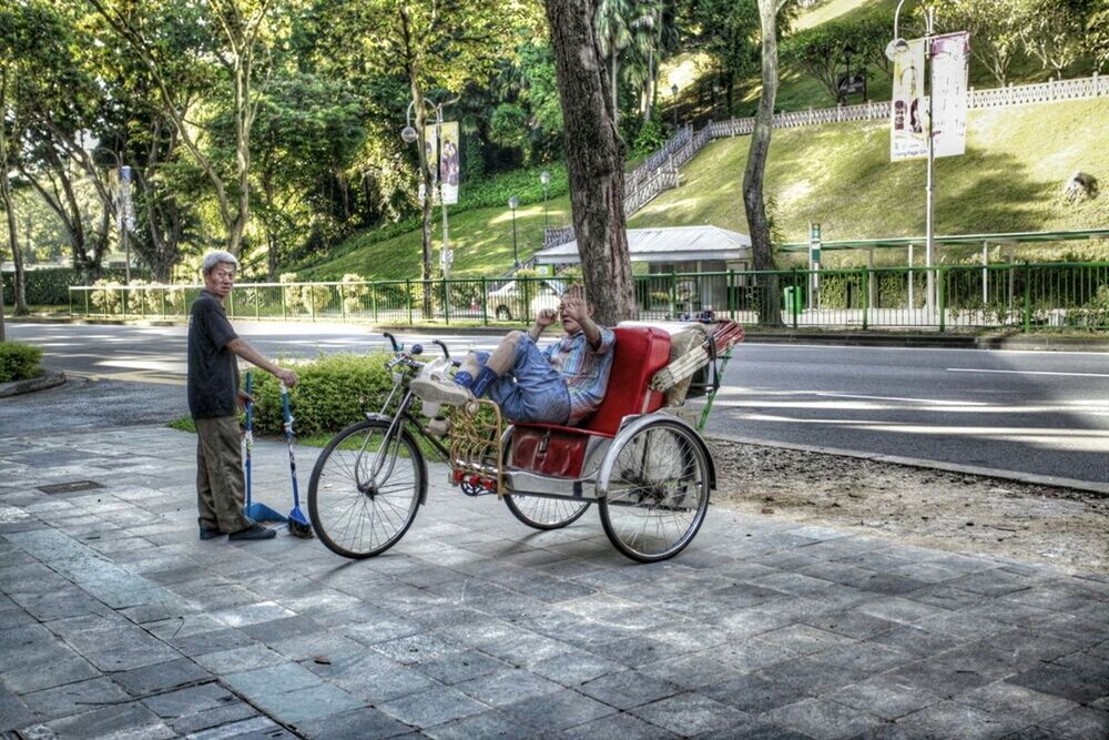 bicycle, transportation, land vehicle, mode of transport, stationary, parked, parking, street, tree, sidewalk, car, road, building exterior, city, outdoors, footpath, day, built structure, travel, architecture