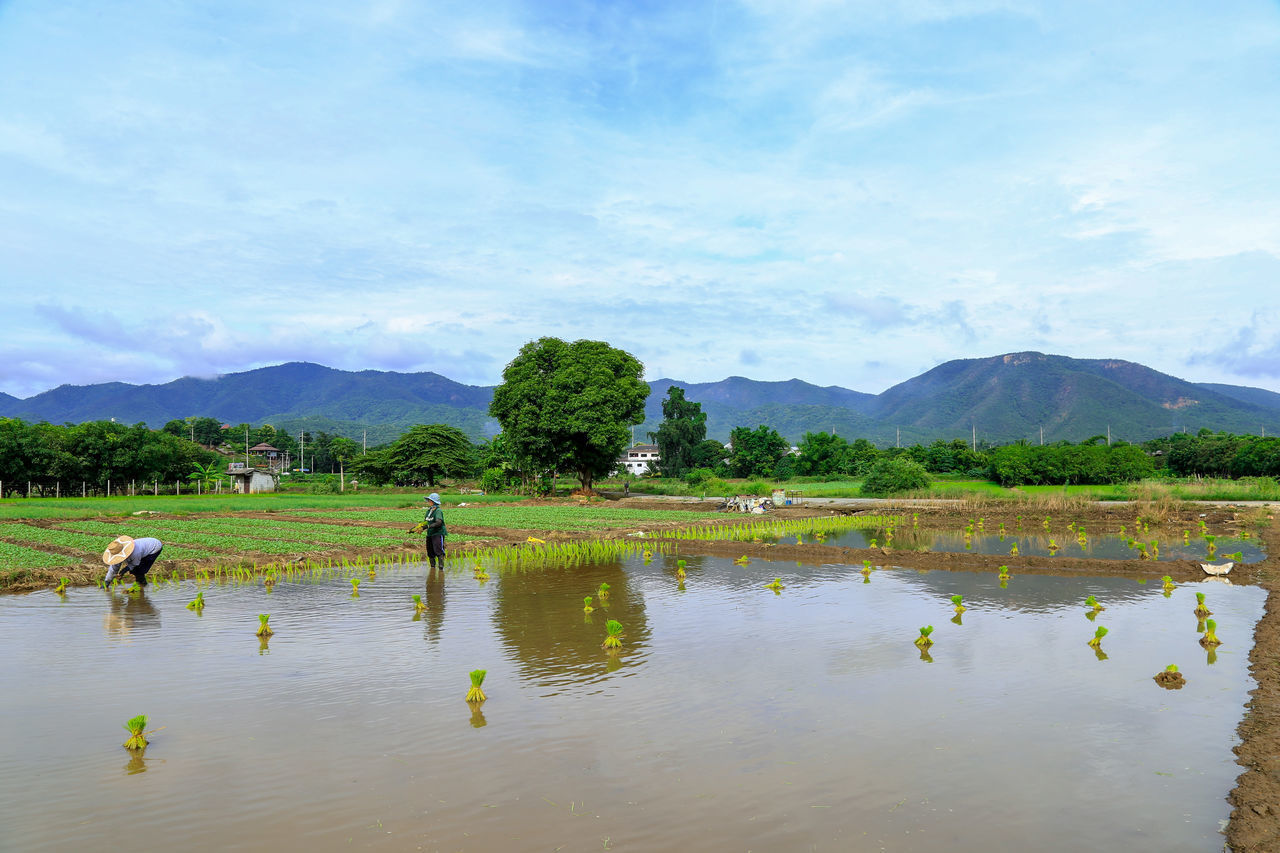 SCENIC VIEW OF LAKE BY MOUNTAINS AGAINST SKY