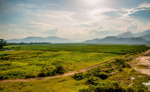 Scenic view of agricultural field against sky