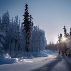 Trees on snow covered landscape