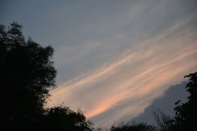 Low angle view of silhouette trees against sky at sunset