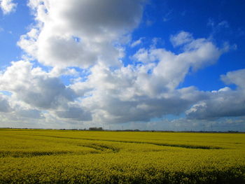 Scenic view of field against cloudy sky