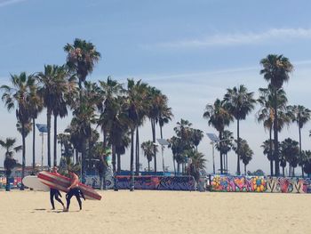 Palm trees on beach