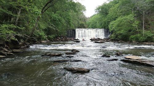 Scenic view of waterfall in forest against sky