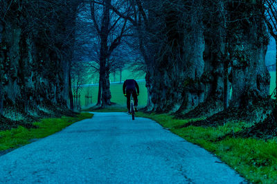 Rear view of man walking on road in forest