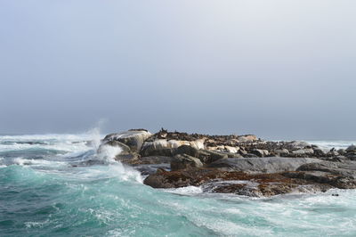 Waves splashing on rocks