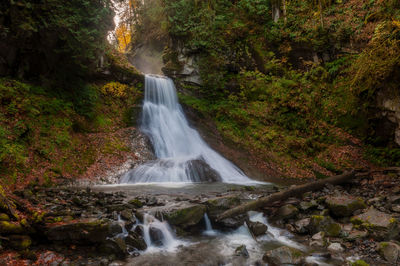 Scenic view of waterfall in forest