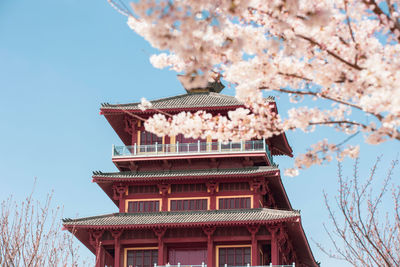 Low angle view of cherry blossoms against sky