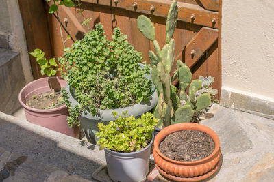 High angle view of potted plants in yard