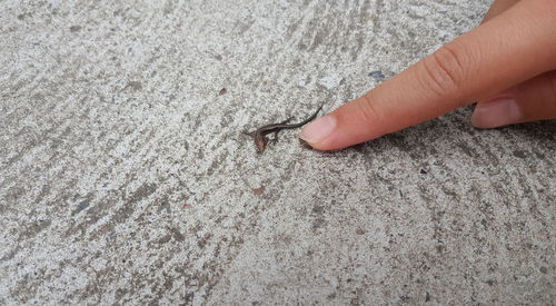 Cropped hand of person on sand