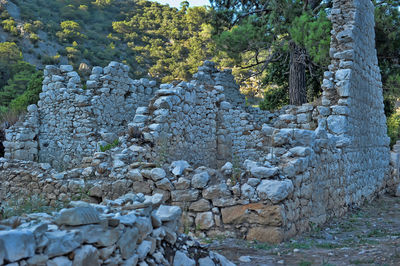 Stone wall by trees on rocks