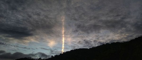 Low angle view of silhouette trees against sky at night