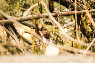 Boy hanging on bamboo amidst trees