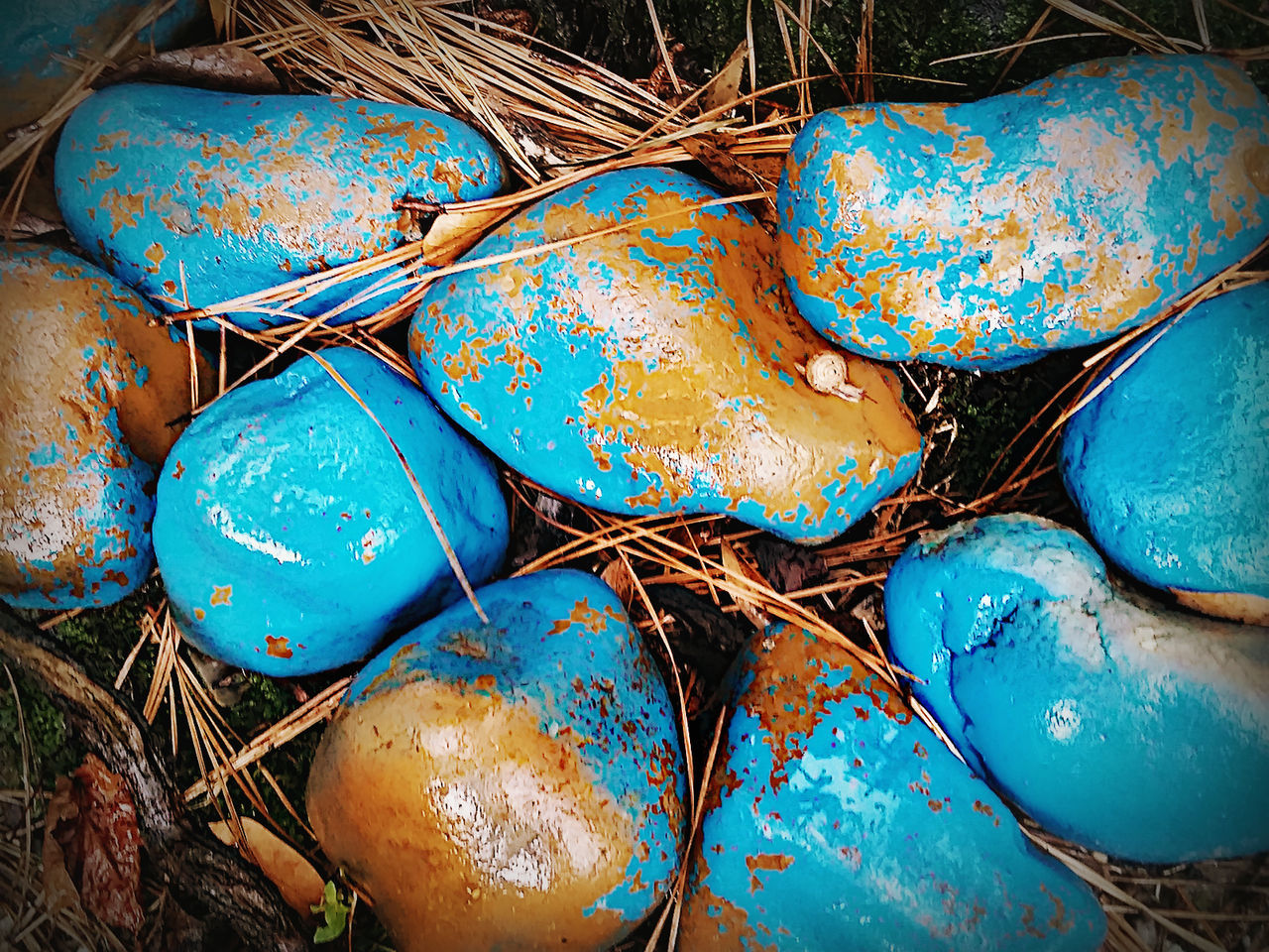 CLOSE-UP VIEW OF BLUE ABANDONED