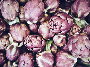 Full frame shot of artichokes