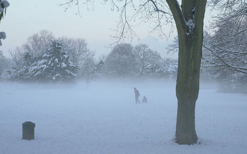 Trees on snow covered field