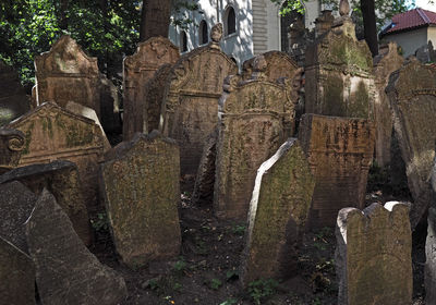 Panoramic view of cemetery