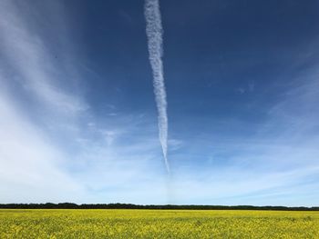 Scenic view of field against sky