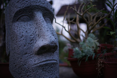 Close-up of buddha statue in cemetery