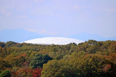 Scenic view of forest against sky during autumn