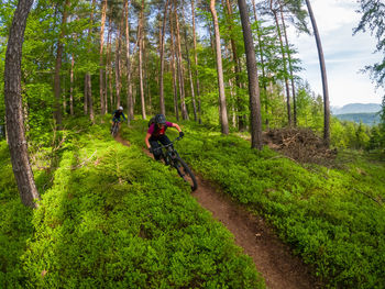 A young woman and a young man riding their mountain bikes on a singletrail near klagenfurt, austria.