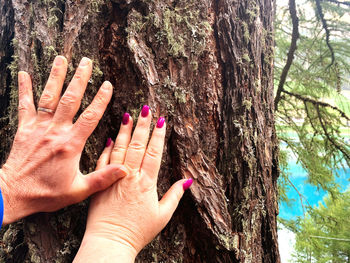 Close-up of hands against tree trunk