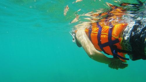 Fish swimming in sea