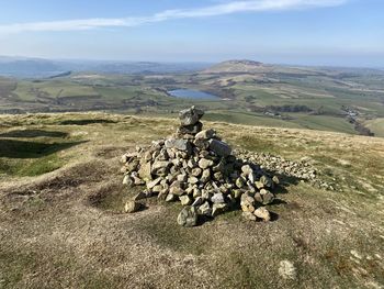 View of lizard on landscape