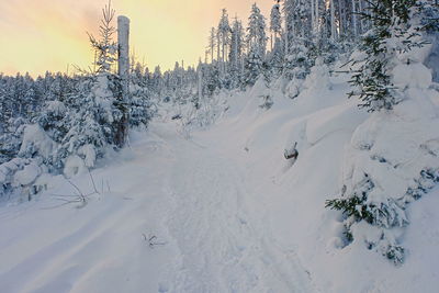 Scenic view of snow covered field against sky