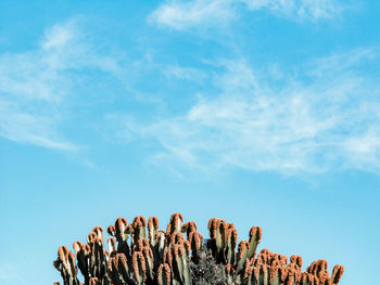 Low angle view of people against blue sky