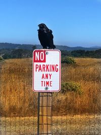 View of a bird perching on a sign