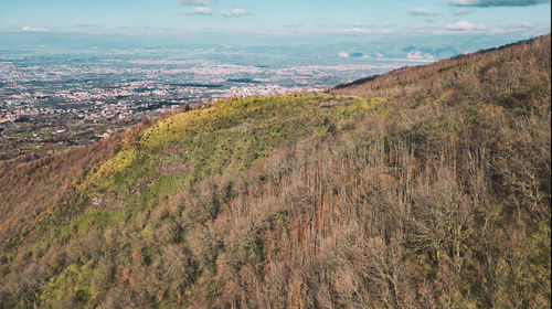 High angle view of land and tree against sky