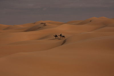 Scenic view of desert dune against sky