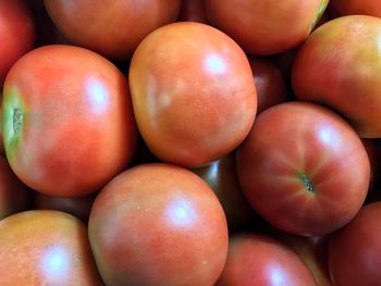 Fresh tomatoes 