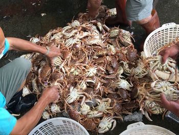 Midsection of man separating crabs