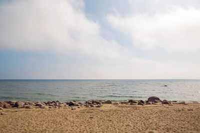 Beach of the gulf of finland in saint-petersburg with sand and stones in grey, cool weather 